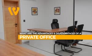 What are the Advantages and Disadvantages of a Private Office